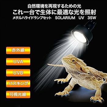 ゼンスイ　メタハラ　ソラリウム　爬虫類用品 ソラリウム｜ゼンスイ株式会社